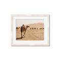Picture of Camel Walk _GroupedProduct_Rectangle_Landscape_Photography _GroupedProduct_Rectangle_Landscape_Framed_Matted_