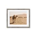 Picture of Camel Walk _GroupedProduct_Rectangle_Landscape_Photography _GroupedProduct_Rectangle_Landscape_Framed_Matted_