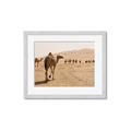 Picture of Camel Walk _GroupedProduct_Rectangle_Landscape_Photography _GroupedProduct_Rectangle_Landscape_Framed_Matted_