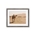 Picture of Camel Walk _GroupedProduct_Rectangle_Landscape_Photography _GroupedProduct_Rectangle_Landscape_Framed_Matted_