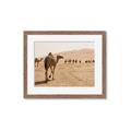 Picture of Camel Walk _GroupedProduct_Rectangle_Landscape_Photography _GroupedProduct_Rectangle_Landscape_Framed_Matted_