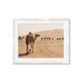 Picture of Camel Walk _GroupedProduct_Rectangle_Landscape_Photography _GroupedProduct_Rectangle_Landscape_Framed_Matted_