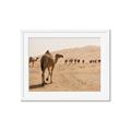 Picture of Camel Walk _GroupedProduct_Rectangle_Landscape_Photography _GroupedProduct_Rectangle_Landscape_Framed_Matted_