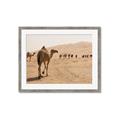Picture of Camel Walk _GroupedProduct_Rectangle_Landscape_Photography _GroupedProduct_Rectangle_Landscape_Framed_Matted_