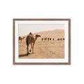 Picture of Camel Walk _GroupedProduct_Rectangle_Landscape_Photography _GroupedProduct_Rectangle_Landscape_Framed_Matted_