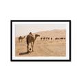 Picture of Camel Walk _GroupedProduct_Rectangle_Landscape_Photography _GroupedProduct_Rectangle_Landscape_Framed_Matted_