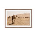 Picture of Camel Walk _GroupedProduct_Rectangle_Landscape_Photography _GroupedProduct_Rectangle_Landscape_Framed_Matted_