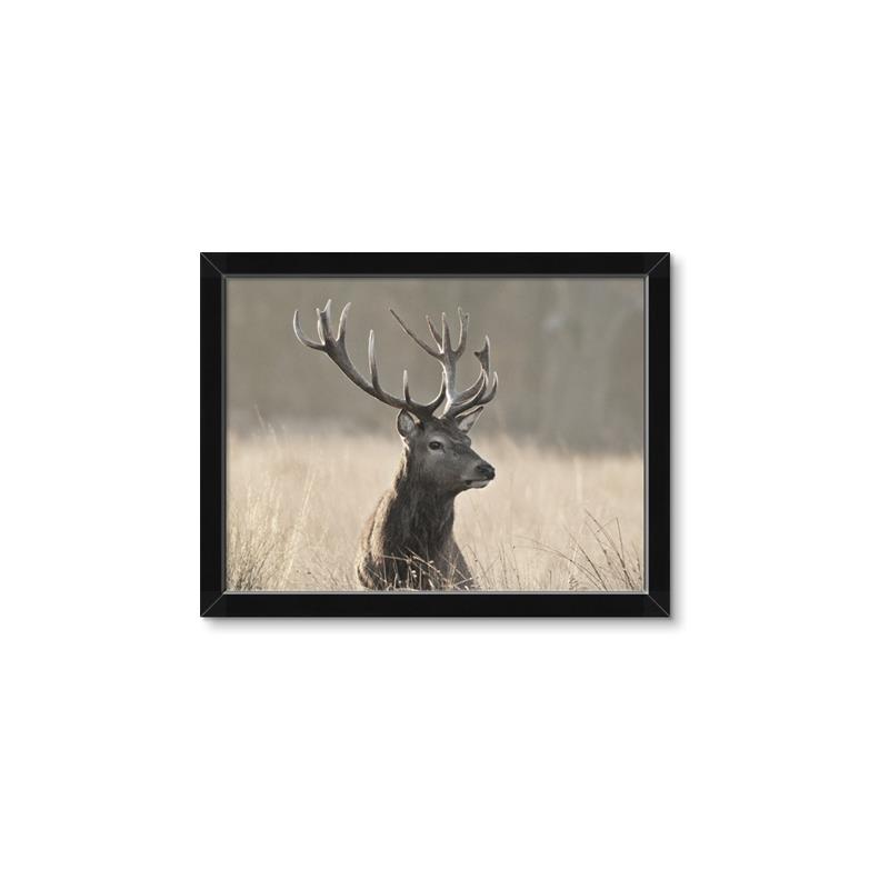 Picture of Head Above _GroupedProduct_Rectangle_Landscape_Photography _GroupedProduct_Rectangle_Landscape_Framed_Matted_