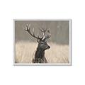 Picture of Head Above _GroupedProduct_Rectangle_Landscape_Photography _GroupedProduct_Rectangle_Landscape_Framed_Matted_