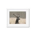 Picture of Head Above _GroupedProduct_Rectangle_Landscape_Photography _GroupedProduct_Rectangle_Landscape_Framed_Matted_