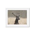 Picture of Head Above _GroupedProduct_Rectangle_Landscape_Photography _GroupedProduct_Rectangle_Landscape_Framed_Matted_