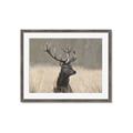 Picture of Head Above _GroupedProduct_Rectangle_Landscape_Photography _GroupedProduct_Rectangle_Landscape_Framed_Matted_