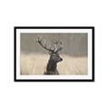 Picture of Head Above _GroupedProduct_Rectangle_Landscape_Photography _GroupedProduct_Rectangle_Landscape_Framed_Matted_