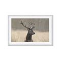 Picture of Head Above _GroupedProduct_Rectangle_Landscape_Photography _GroupedProduct_Rectangle_Landscape_Framed_Matted_
