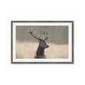 Picture of Head Above _GroupedProduct_Rectangle_Landscape_Photography _GroupedProduct_Rectangle_Landscape_Framed_Matted_