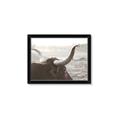 Picture of Bulls Eye View _GroupedProduct_Rectangle_Landscape_Photography _GroupedProduct_Rectangle_Landscape_Framed_Matted_