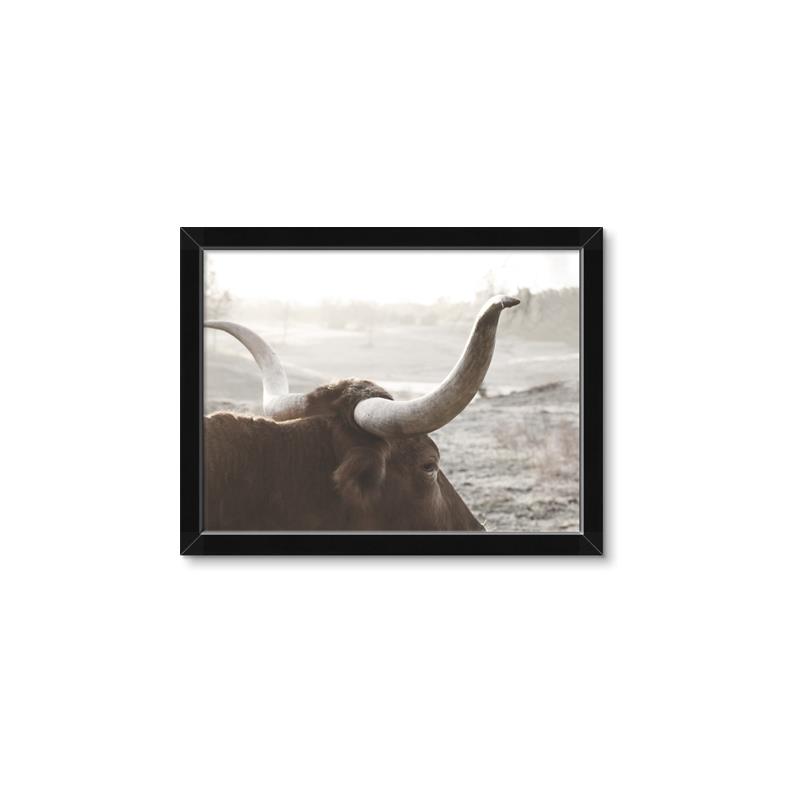 Picture of Bulls Eye View _GroupedProduct_Rectangle_Landscape_Photography _GroupedProduct_Rectangle_Landscape_Framed_Matted_