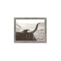 Picture of Bulls Eye View _GroupedProduct_Rectangle_Landscape_Photography _GroupedProduct_Rectangle_Landscape_Framed_Matted_