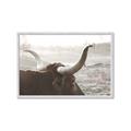 Picture of Bulls Eye View _GroupedProduct_Rectangle_Landscape_Photography _GroupedProduct_Rectangle_Landscape_Framed_Matted_