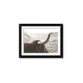 Picture of Bulls Eye View _GroupedProduct_Rectangle_Landscape_Photography _GroupedProduct_Rectangle_Landscape_Framed_Matted_