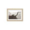 Picture of Bulls Eye View _GroupedProduct_Rectangle_Landscape_Photography _GroupedProduct_Rectangle_Landscape_Framed_Matted_