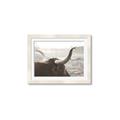 Picture of Bulls Eye View _GroupedProduct_Rectangle_Landscape_Photography _GroupedProduct_Rectangle_Landscape_Framed_Matted_