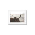 Picture of Bulls Eye View _GroupedProduct_Rectangle_Landscape_Photography _GroupedProduct_Rectangle_Landscape_Framed_Matted_