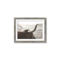 Picture of Bulls Eye View _GroupedProduct_Rectangle_Landscape_Photography _GroupedProduct_Rectangle_Landscape_Framed_Matted_