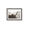 Picture of Bulls Eye View _GroupedProduct_Rectangle_Landscape_Photography _GroupedProduct_Rectangle_Landscape_Framed_Matted_