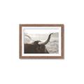 Picture of Bulls Eye View _GroupedProduct_Rectangle_Landscape_Photography _GroupedProduct_Rectangle_Landscape_Framed_Matted_