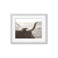 Picture of Bulls Eye View _GroupedProduct_Rectangle_Landscape_Photography _GroupedProduct_Rectangle_Landscape_Framed_Matted_