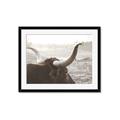 Picture of Bulls Eye View _GroupedProduct_Rectangle_Landscape_Photography _GroupedProduct_Rectangle_Landscape_Framed_Matted_