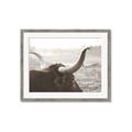Picture of Bulls Eye View _GroupedProduct_Rectangle_Landscape_Photography _GroupedProduct_Rectangle_Landscape_Framed_Matted_