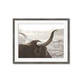 Picture of Bulls Eye View _GroupedProduct_Rectangle_Landscape_Photography _GroupedProduct_Rectangle_Landscape_Framed_Matted_