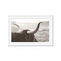 Picture of Bulls Eye View _GroupedProduct_Rectangle_Landscape_Photography _GroupedProduct_Rectangle_Landscape_Framed_Matted_