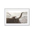 Picture of Bulls Eye View _GroupedProduct_Rectangle_Landscape_Photography _GroupedProduct_Rectangle_Landscape_Framed_Matted_