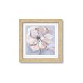 Picture of Pastel Beauty On Grey _GroupedProduct_Square_Framed_Matted_