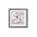 Picture of Pastel Beauty On Grey _GroupedProduct_Square_Framed_Matted_