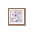 Picture of Pastel Beauty On Grey _GroupedProduct_Square_Framed_Matted_