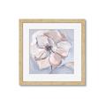 Picture of Pastel Beauty On Grey _GroupedProduct_Square_Framed_Matted_