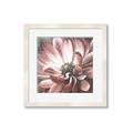 Picture of Glowing Light _GroupedProduct_Square_Framed_Matted_