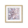 Picture of Painted Pink _GroupedProduct_Square_Framed_Matted_