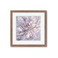 Picture of Painted Pink _GroupedProduct_Square_Framed_Matted_