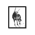 Picture of Black Cariboo _GroupedProduct_Rectangle_Portrait_Framed_Matted_