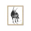 Picture of Black Cariboo _GroupedProduct_Rectangle_Portrait_Framed_Matted_