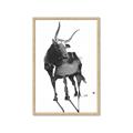Picture of Black Cariboo _GroupedProduct_Rectangle_Portrait_Framed_Matted_