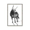 Picture of Black Cariboo _GroupedProduct_Rectangle_Portrait_Framed_Matted_
