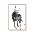 Picture of Black Cariboo _GroupedProduct_Rectangle_Portrait_Framed_Matted_