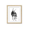 Picture of Black Cariboo _GroupedProduct_Rectangle_Portrait_Framed_Matted_