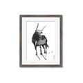 Picture of Black Cariboo _GroupedProduct_Rectangle_Portrait_Framed_Matted_